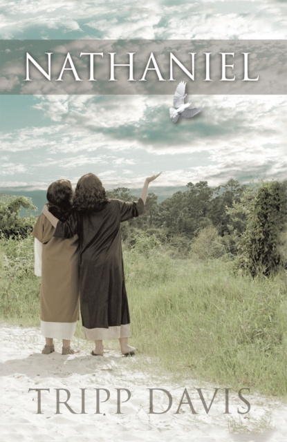 E-book Nathaniel Tripp Davis