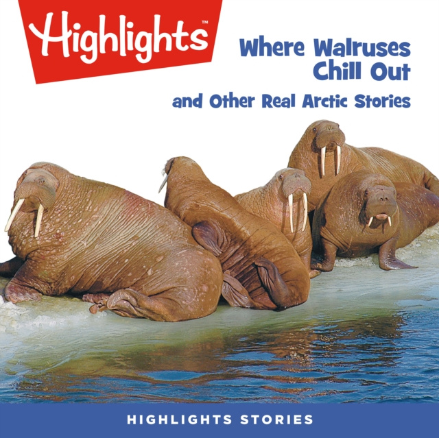 Livre audio Where Walruses Chill Out and Other Real Arctic Stories Highlights For Children