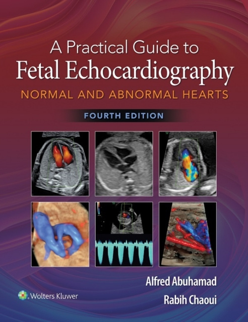 E-kniha Practical Guide to Fetal Echocardiography Alfred Abuhamad