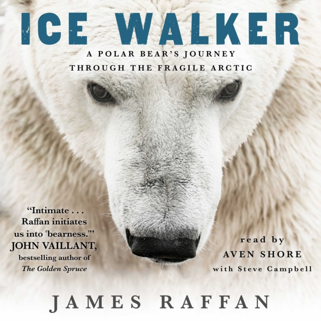 Audiokniha Ice Walker James Raffan