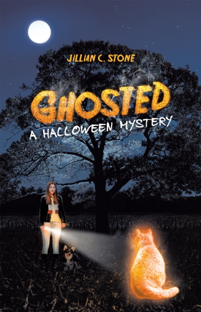 E-knjiga Ghosted Jillian C. Stone