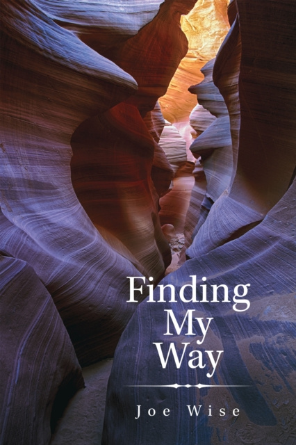 E-Book Finding My Way Joe Wise