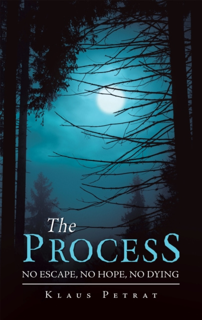E-knjiga Process Klaus Petrat