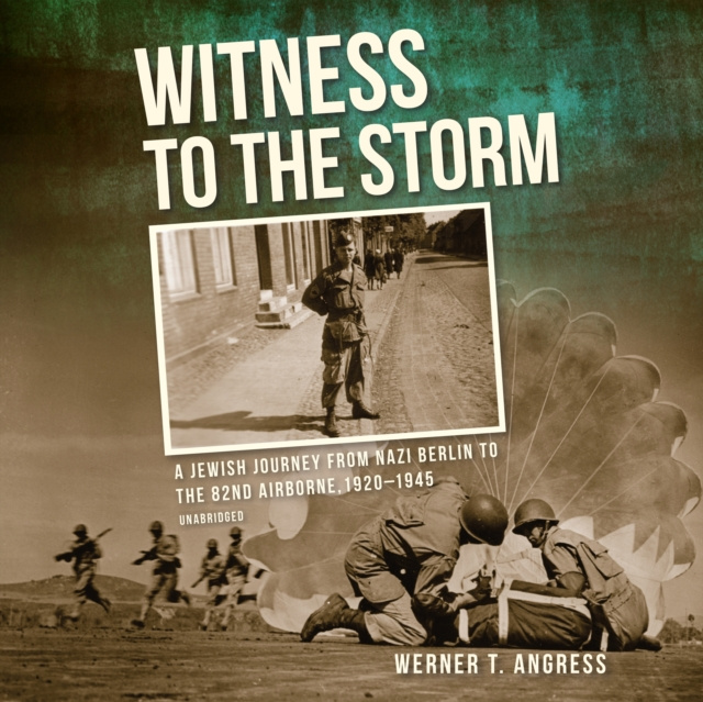 Hörbuch Witness to the Storm Werner T. Angress