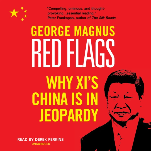 Audiobook Red Flags George Magnus
