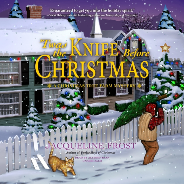 Audiobook 'Twas the Knife before Christmas Jacqueline Frost