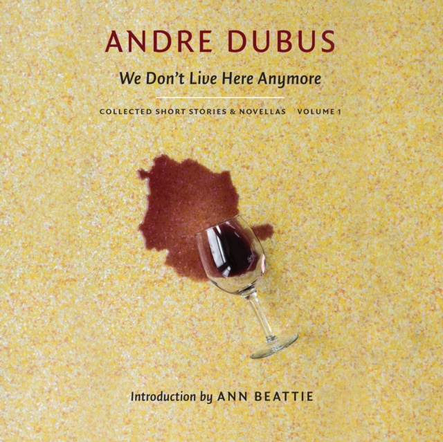 Audiokniha We Don't Live Here Anymore Andre Dubus