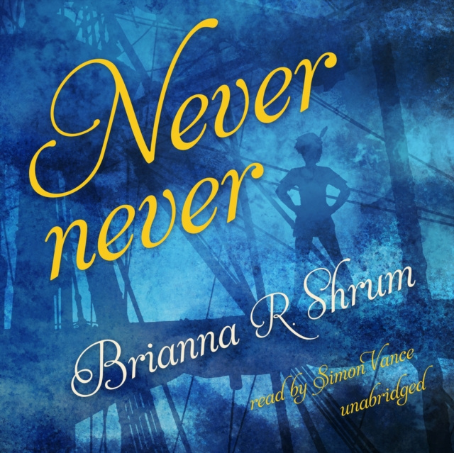 Audiokniha Never Never Brianna R. Shrum