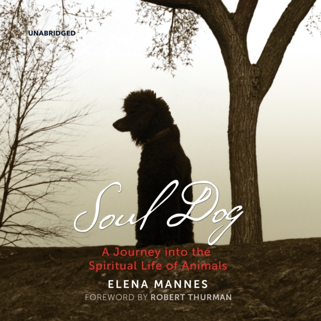 Audiobook Soul Dog Elena Mannes