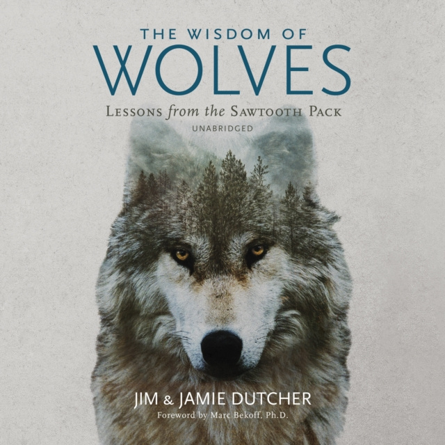 Audiokniha Wisdom of Wolves Jim Dutcher