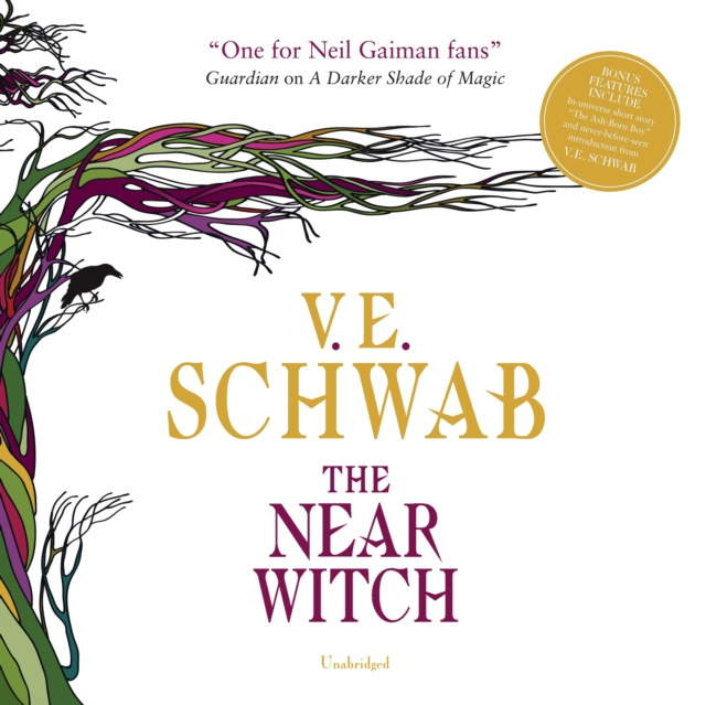 Audiobook Near Witch V. E. Schwab