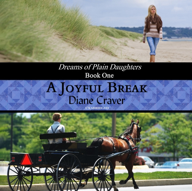 Audiokniha Joyful Break Diane Craver