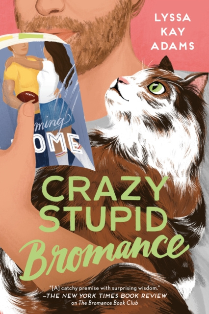 E-kniha Crazy Stupid Bromance Lyssa Kay Adams