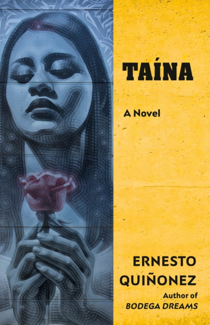 E-kniha Taina Ernesto Quinonez