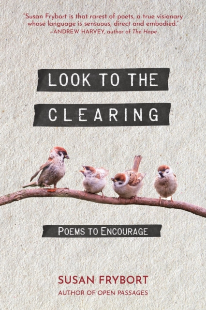 E-kniha Look to the Clearing Susan Frybort