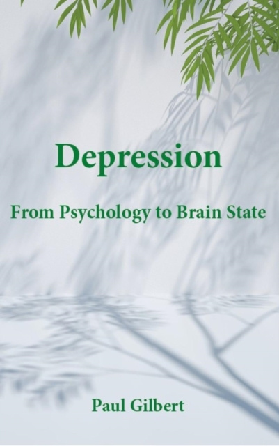 E-Book Depression Paul Gilbert