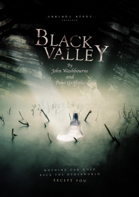 E-knjiga Black Valley Dewi Griffiths