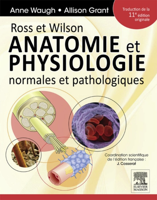 E-book Ross et Wilson. Anatomie et physiologie normales et pathologiques Anne Waugh