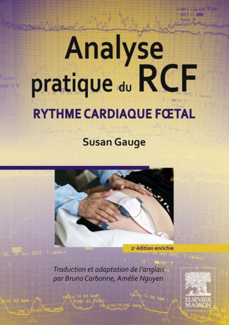 E-kniha Analyse pratique du RCF Susan Gauge