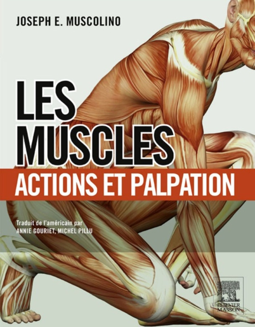 E-book Les muscles : actions et palpation Annie Gouriet
