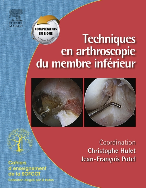 E-kniha Techniques en arthroscopie du membre inferieur Christophe Hulet