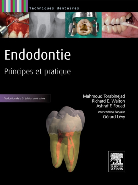E-book Endodontie Mahmoud Torabinejad