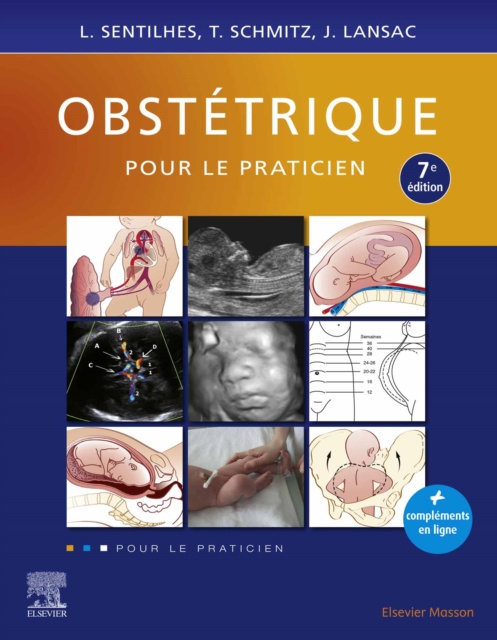 E-book Obstetrique pour le praticien Loic Sentilhes