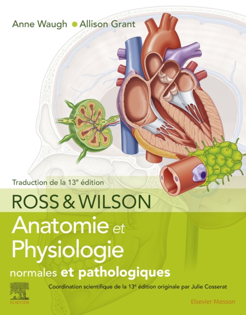 E-kniha Ross et Wilson. Anatomie et physiologie normales et pathologiques Anne Waugh