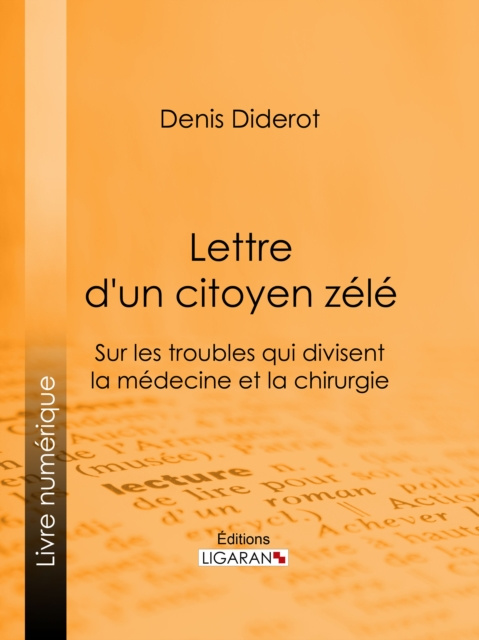 E-kniha Lettre d'un citoyen zele Denis Diderot