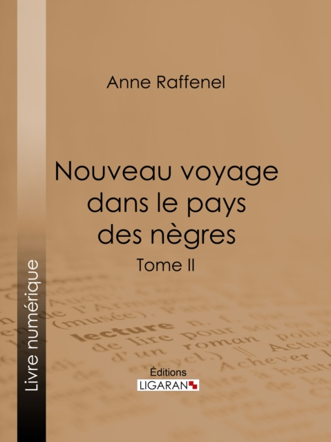 E-kniha Nouveau voyage dans le pays des negres Anne Raffenel