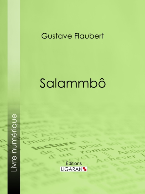 E-kniha Salammbo Gustave Flaubert