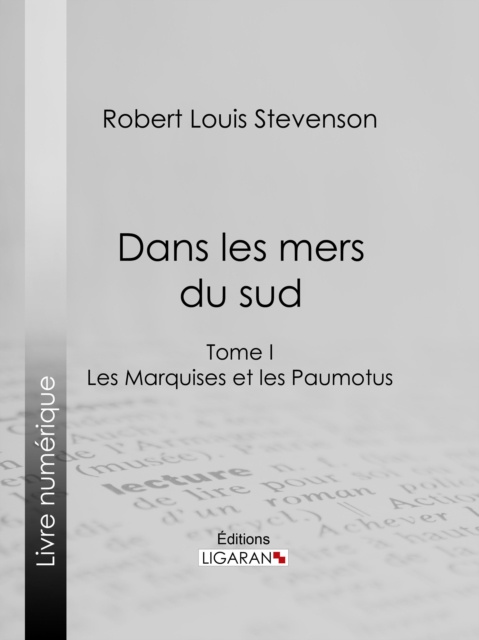 E-book Dans les mers du sud Robert Louis Stevenson