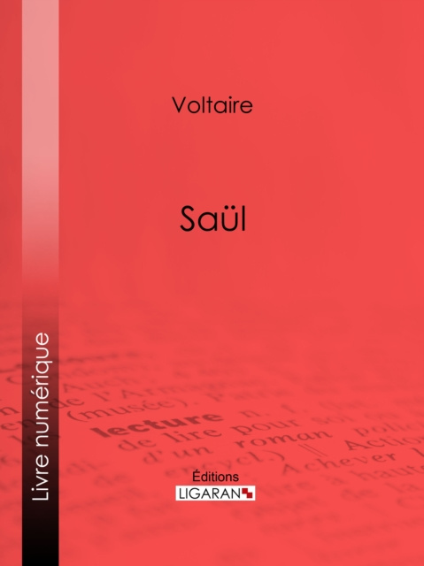 E-knjiga Saul Voltaire