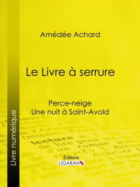 E-Book Le Livre a serrure Amedee Achard