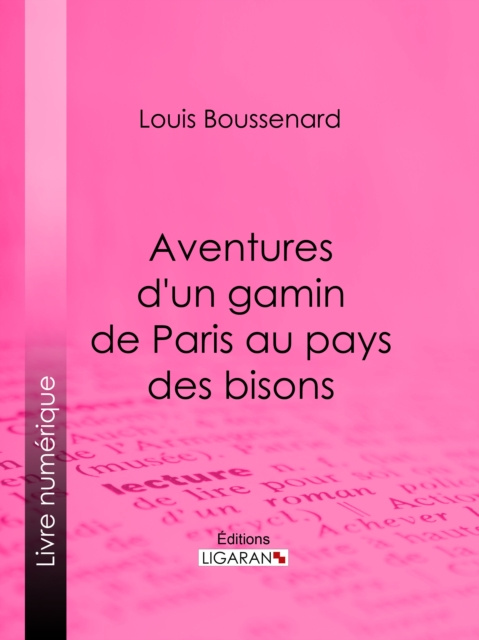 E-kniha Aventures d'un gamin de Paris au pays des bisons Louis Boussenard