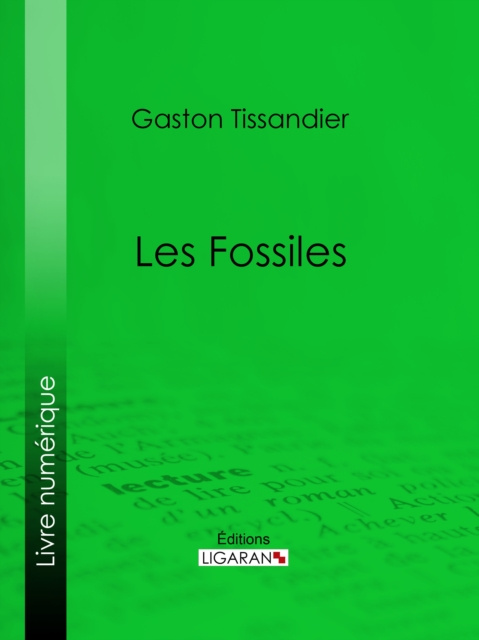 E-kniha Les Fossiles Gaston Tissandier