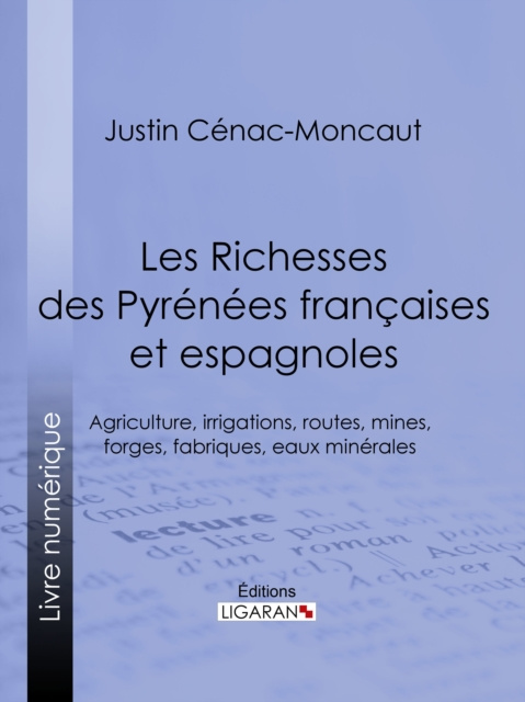 E-kniha Les Richesses des Pyrenees francaises et espagnoles Justin Cenac-Moncaut