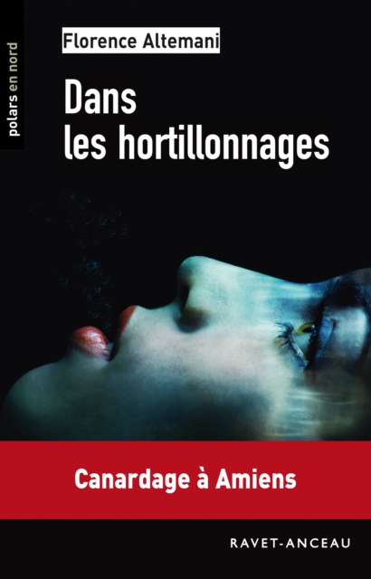 E-book Dans les hortillonnages Florence Altemani