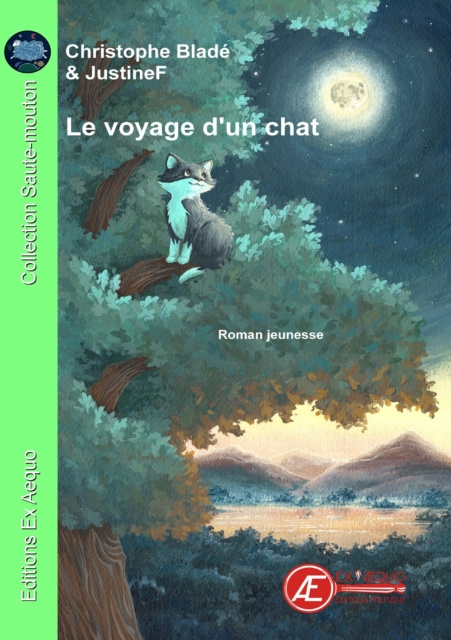 E-book Le voyage d'un chat Christophe Blade
