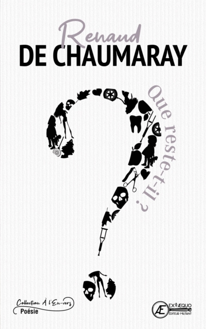 E-book Que reste-t-il ? Renaud de Chaumaray