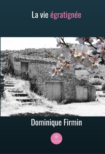 E-book La vie egratignee Dominique Firmin