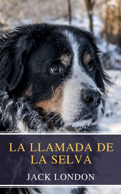 E-book La llamada de la selva Jack London