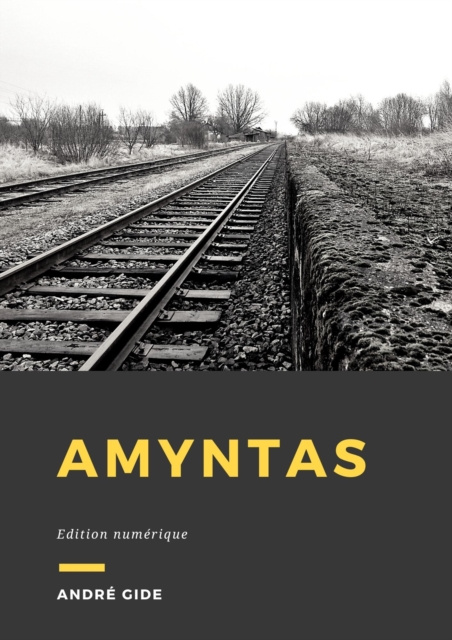 E-kniha Amyntas Andre Gide