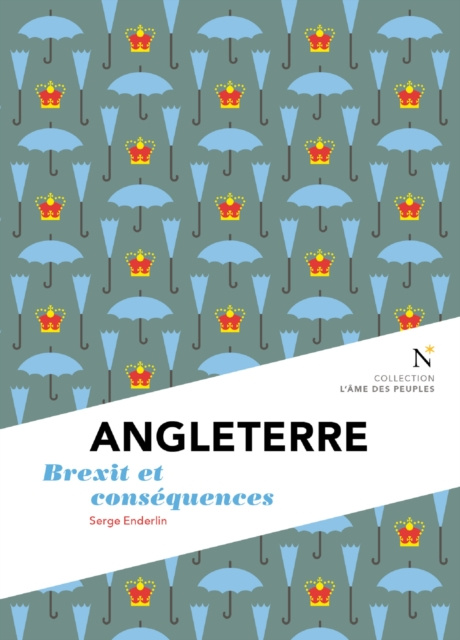 E-book Angleterre : Brexit et consequences Serge Enderlin