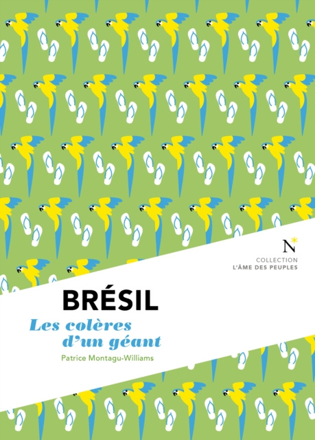 ebook Bresil : Les coleres d'un geant Patrice Montagu-Williams