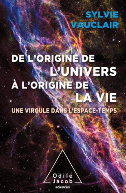 E-kniha De l'origine de l'Univers a l'origine de la vie Vauclair Sylvie Vauclair