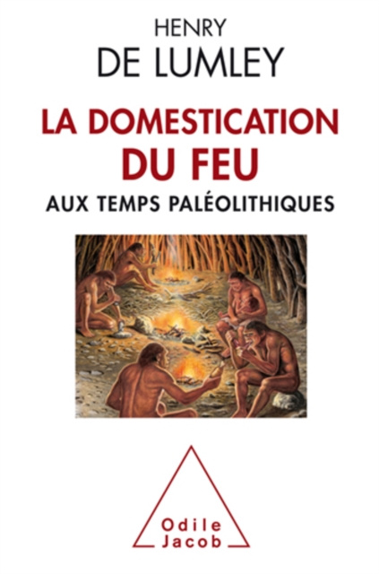 E-kniha La Domestication du feu aux temps paleolithiques de Lumley Henry de Lumley