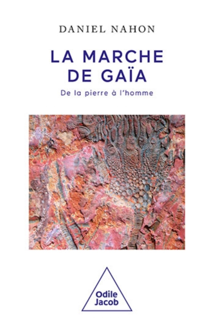 E-kniha La Marche de Gaia Nahon Daniel Nahon