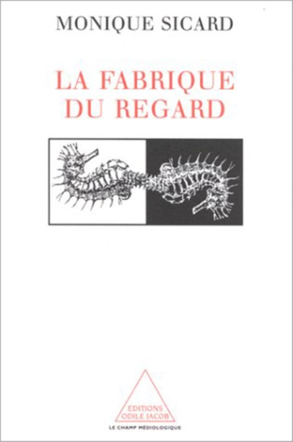 E-kniha La Fabrique du regard Sicard Monique Sicard