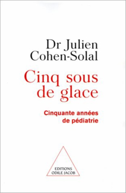 E-kniha Cinq Sous de glace Cohen-Solal Julien Cohen-Solal